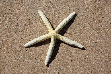 种种迹象显示《天国：拯救2》的硬核模式就要来了